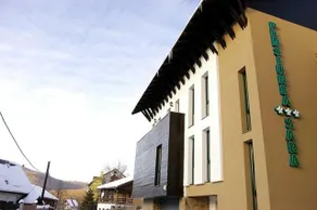 Franzdorf Alpin - Image 5