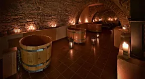 Zámek Wichterle - Hotel a pivní lázně - Image 3