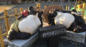 しまなみ海道お宿ぽんぽこ - Image 5