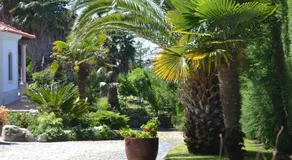 Casa do Marco - Image 3