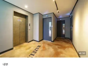 LEBROWN Stay - Image 2