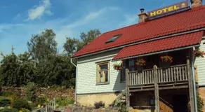 Saule - Image 4