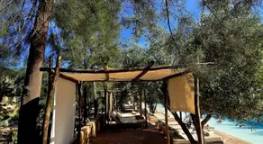 Manzil La Tortue - Image 4