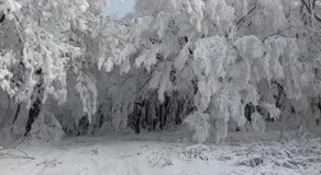 Erdei Vendégház - Image 4