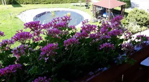 Pension Brix - Image 5