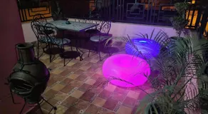 Les jardins berbères d'Agadir - Image 4