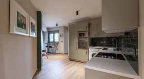 Boutique Saline Apartments - Green - Image 3