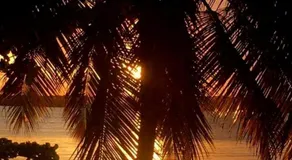 Pousada Raio de Sol - Ilha de Itaparica- Catu á 150 m da praia - Image 4