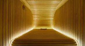 Boutique Sauna ARCH - Image 3