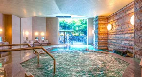 Yuzawa Toei Hotel - Image 4