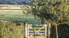 Doeling Barcombe - Image 4