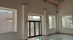 Oasi - Image 2