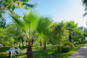 Kijiji Beach Resort - Image 4