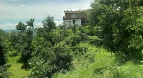 EVERGREEN HOME STAY - Image 5