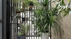 Pawsome Hostel Hualien Seaside - Image 3