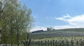 Ferienhof am Taubenberg - Image 5