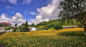 Hong Guo Homestay - Image 2