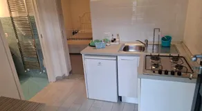 Il vigneto - Image 3