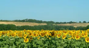 Affittacamere Caliani - Image 4