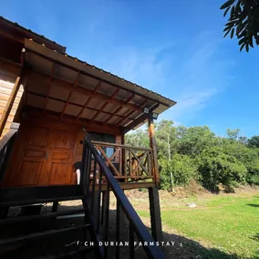 CH Durian Farmstay - Image 3
