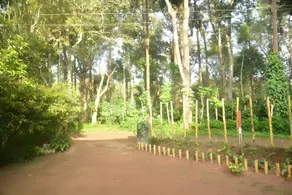 A beautiful Farm stay in the middle of the estate - Image 5