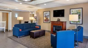 Comfort Inn & Suites Staunton - Image 5