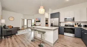 Luxury 2BR Retreat King Beds Free Parking Houston - Image 3