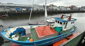 MV Marlies - Image 3