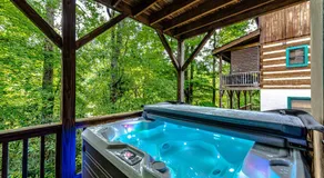 Bear Pause Cabin 3 BR/3BA Amazing view of the Lake - Image 3