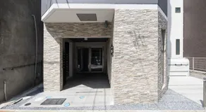 Sumida DIAS - Image 5