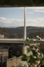 King William - Image 5