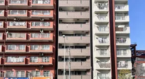 DeLCCS Azumabashi III - Image 5