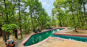 Emerald Tiger Retreat - Image 3