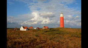 Texelzon - Image 3