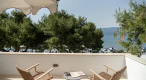 Bellevalia Hydra - Image 5