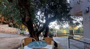 Apartments Oliva - Image 5