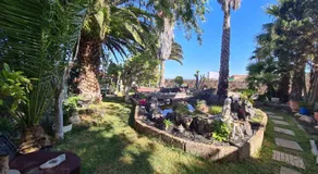 Finca Tropical - Image 5
