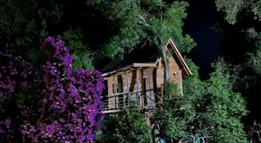 Casa na Árvore - Image 4