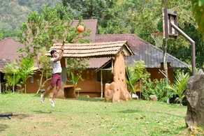 Beyond Eco Living - Image 5