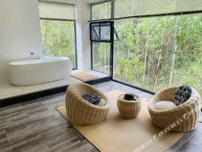 Ten year Boutique Homestay - Image 2