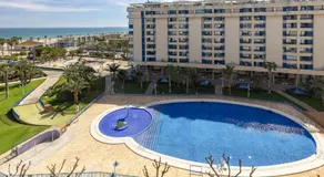 Patacona Essence - Image 3
