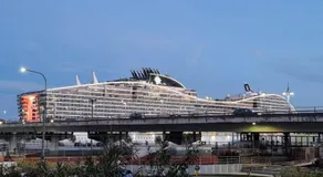 Queen Barbara - Image 4