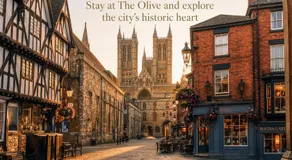 The Olive - Image 4