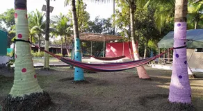 shree farm - Image 3
