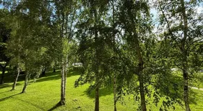Soldino Apartments - Image 4