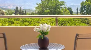Green Orange Villa near Platanias - Image 5