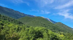 Le Saint Marquan - Image 5