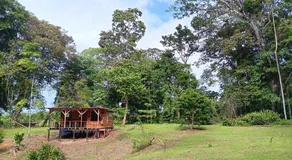 Wildlife Lodge - Image 4