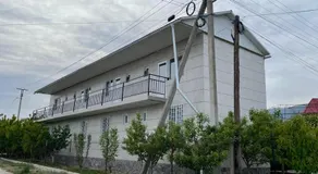 Edelweiss 1 - Image 4
