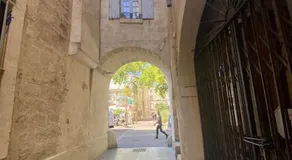 Hirondelle de Montpellier - Image 4